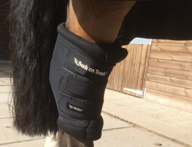 What type of magnetic boots/wraps for hock athritis | Horse and Hound Forum