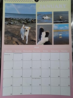 Clover calendar 2024 | Horse and Hound Forum