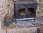 Remi and Rosie have found the woodburner!! 001.JPG