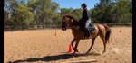 Coolie clinic 21 flatwork.png