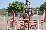 SMN_8131{BE 100_-_Show Jumping_-_i. 12.30 to 13.00.jpg