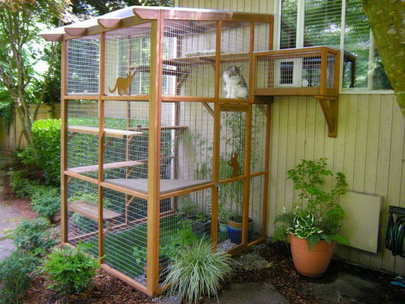 catio-cat-enclosure-catiospaces.com-800W.jpg