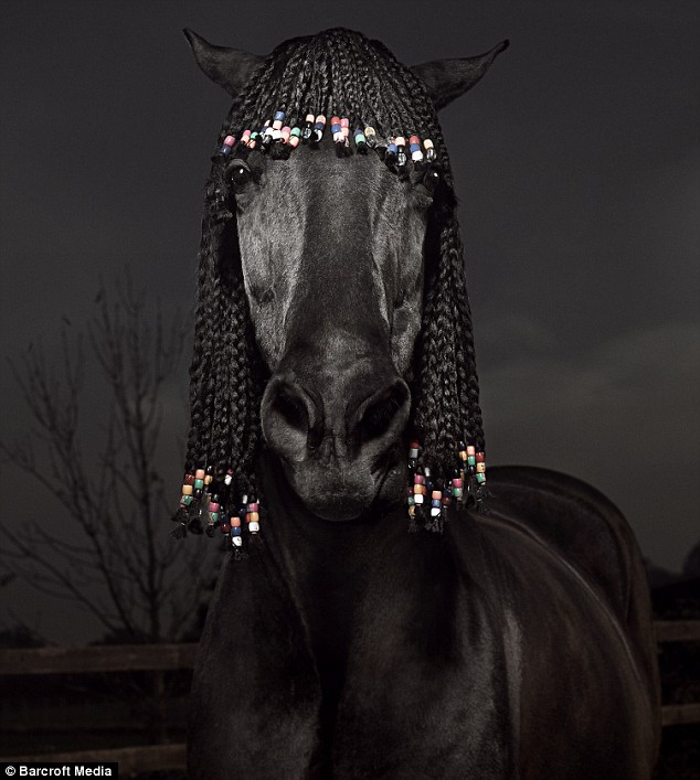 horsebraids.jpg