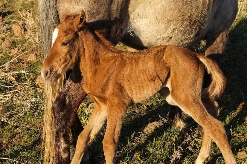 E8kHw7QbJvo45o9gpcjgMmnMeThD_s8UaOhIyMyFyKs=w826-h549-no