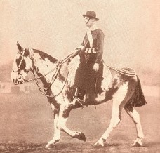 tschiffely-gaucho_sm.jpg