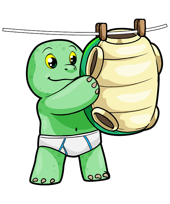 turtle-with-shell-markus-schnabel-transparent.png