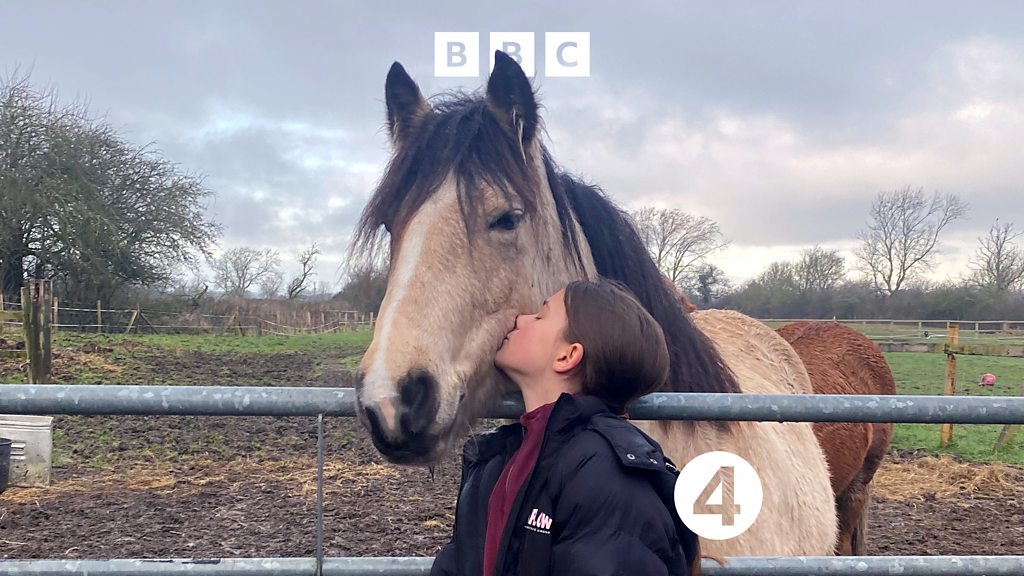 Radio 4 A Wild Ride Horse and Hound Forum