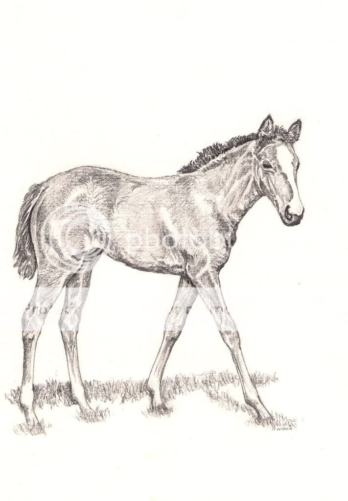 foal1983.jpg