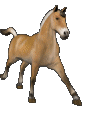 graphics-horses-884530.gif
