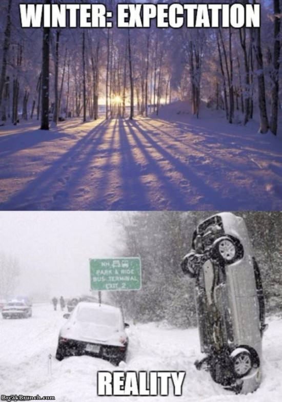 funny-winter-meme-110319-5.jpg