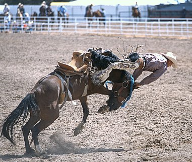 RodeoGetOff.jpg
