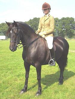Myfanwy%20Ridden%20by%20Aimee,%20scwpca%20summer.JPG