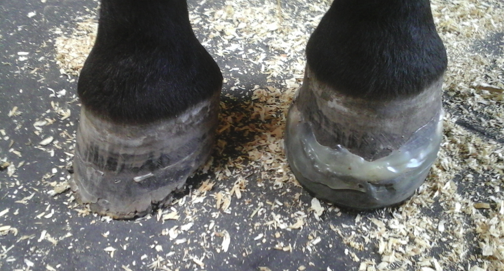 CMOKwIBUAAAE8Sd.png:large