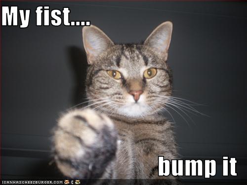fist_bump_lolcats.jpeg