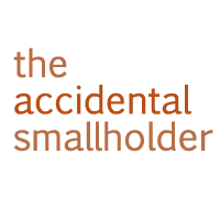 www.accidentalsmallholder.net