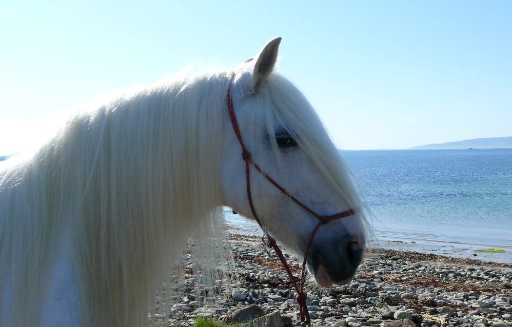 progressive-earth.com