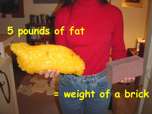 fat_5lb_brick.jpg