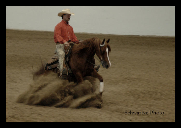 Reining_Sliding_Stop_by_schwartze.jpg