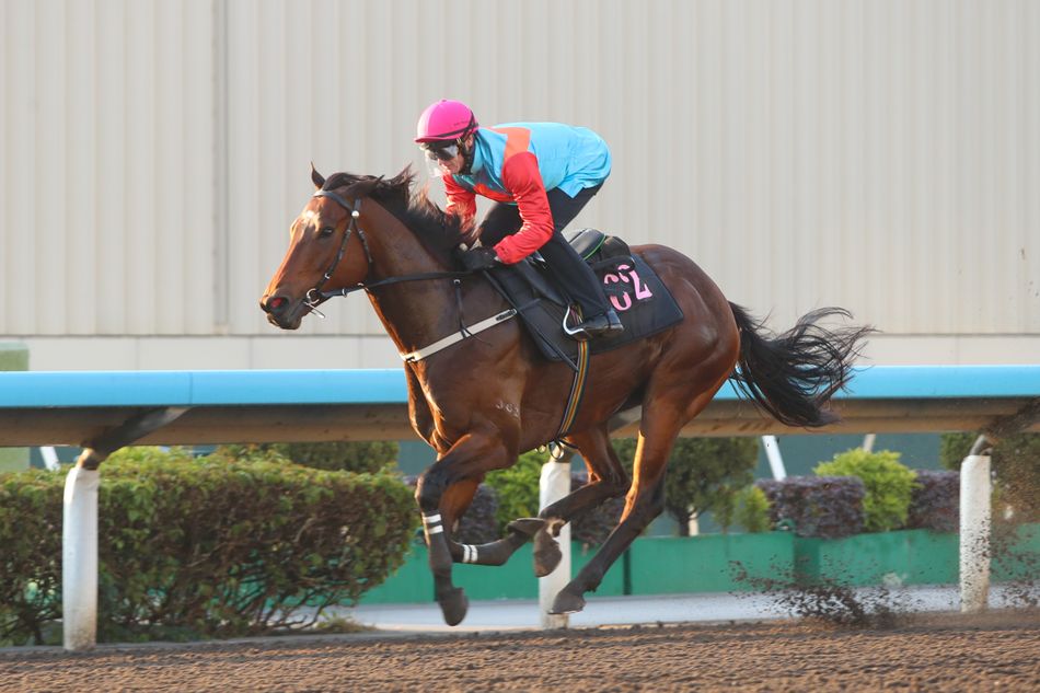 www.racingpost.com