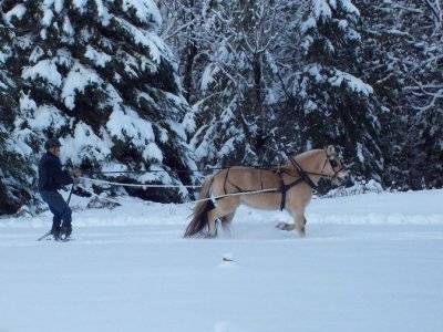 tm_balade%20en%20ski%20joering%20aux%20Rousses.webp