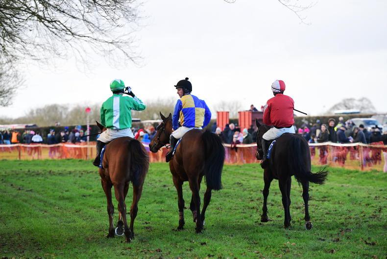 www.theirishfield.ie