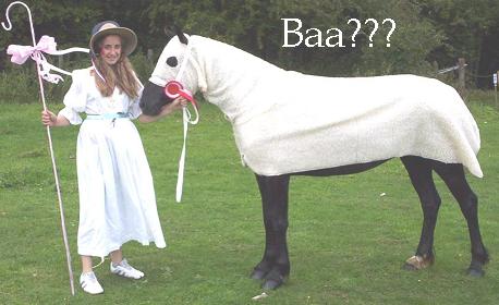 Baa%20Pooh.JPG
