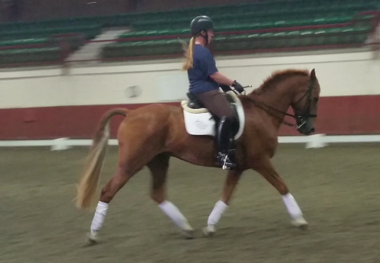 GTyXLa5B9q7jSFZ07QLx5Hp6fYdDlxP1Rr1nHRoNd7Kl=w751-h520-no