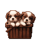 Puppies_2_by_myjka55.gif