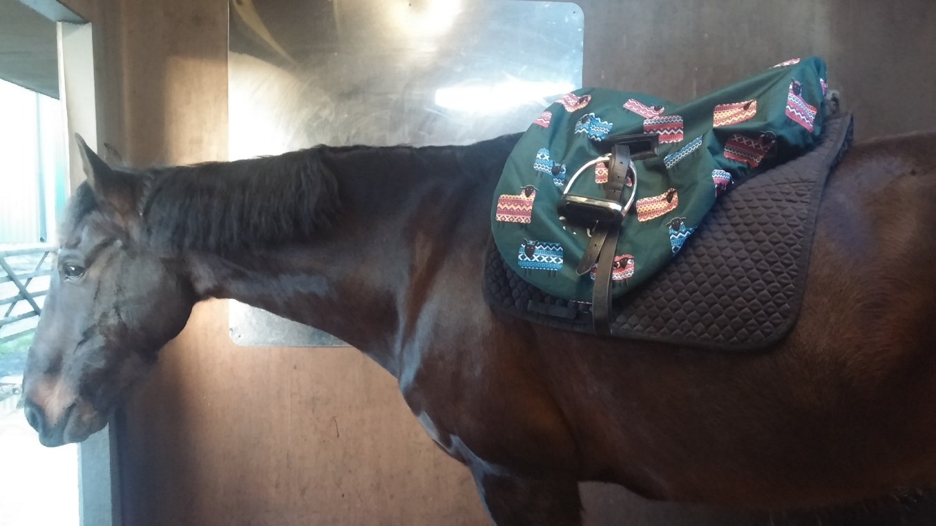 C7iAmvSX0AEpiER.jpg:large