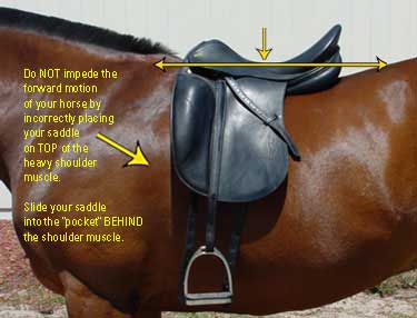 saddle-fit.jpg