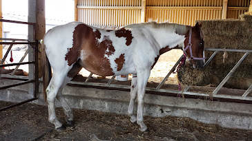 Z1tQylS9gHf2MAoT1e57w4F5lB--8I-f8YbT0CGvces=w365-h205-p-no