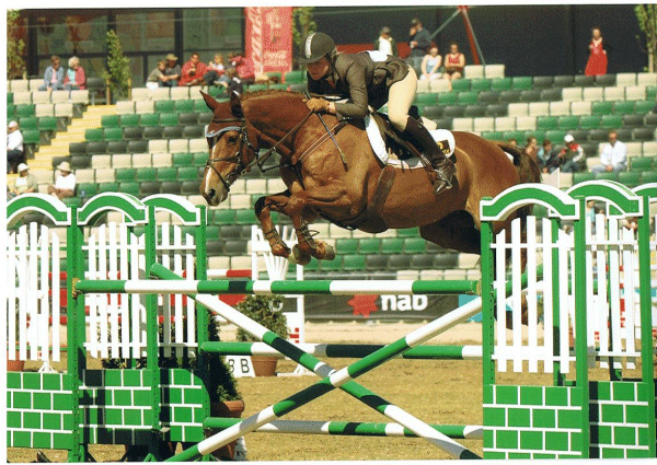show_jumping_horses11.gif