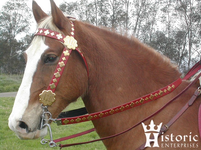 bridle01.jpg