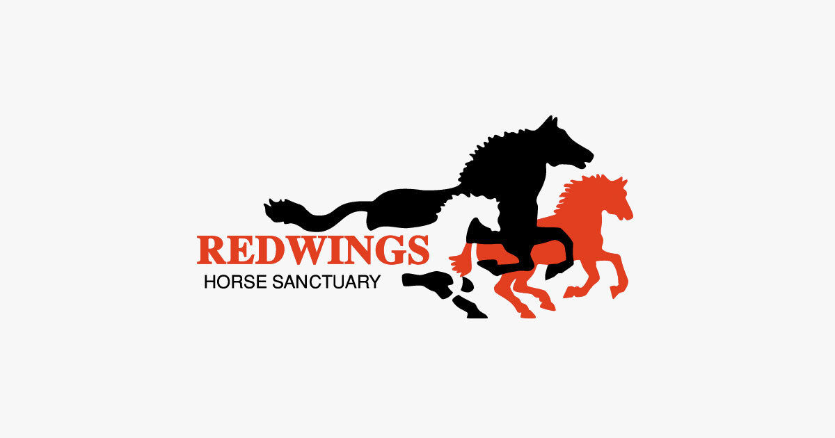 www.redwings.org.uk