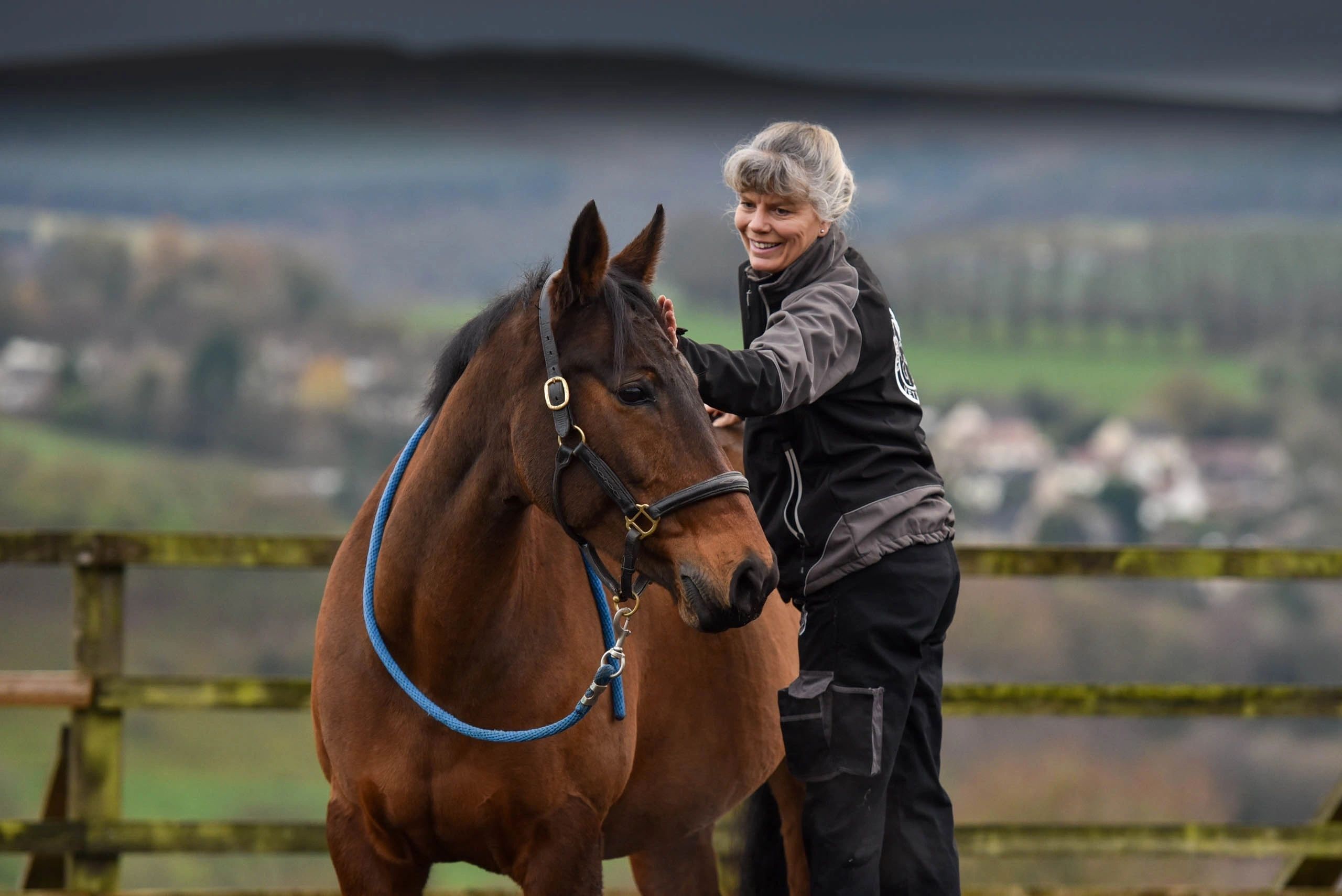 erikagreenequine.co.uk