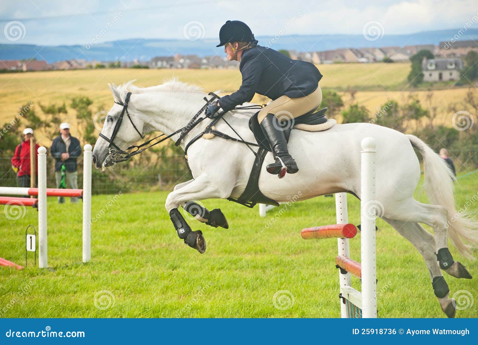 white-horse-jumping-nairn-show-25918736.jpg