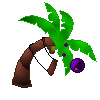 Palm_Tree_Swing_Tard__Entry__by_ShadowUsul22.png