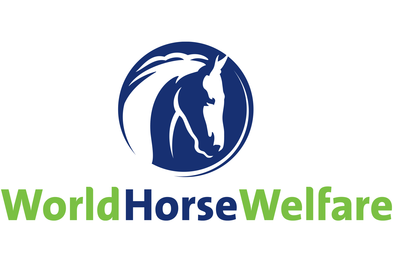 www.worldhorsewelfare.org