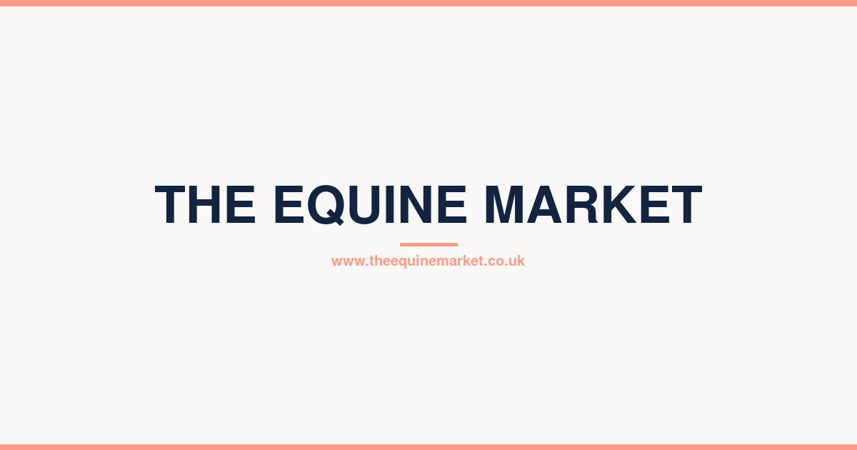 theequinemarket.co.uk