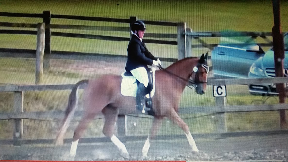 Chdz45vo2b6YfYkJRlivRDMc24DHS6EUDywT7_7WvLFo=w1186-h667-no