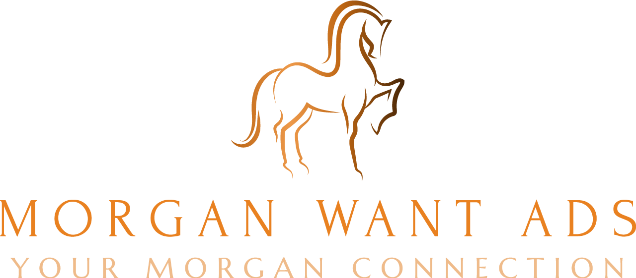 morganwantads.com