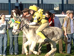 race1-donkey-derbies.jpg