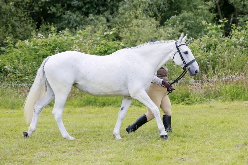 professionalturnoutservices.co.uk