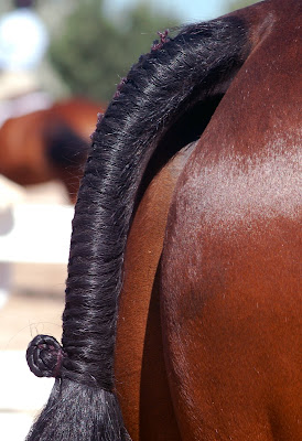 tail_braid5.jpg