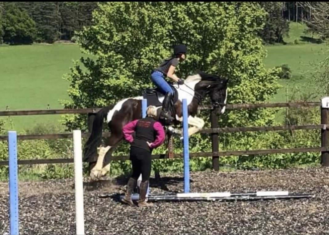 bankfarmequestrian.co.uk