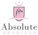 www.absolutearabians.com