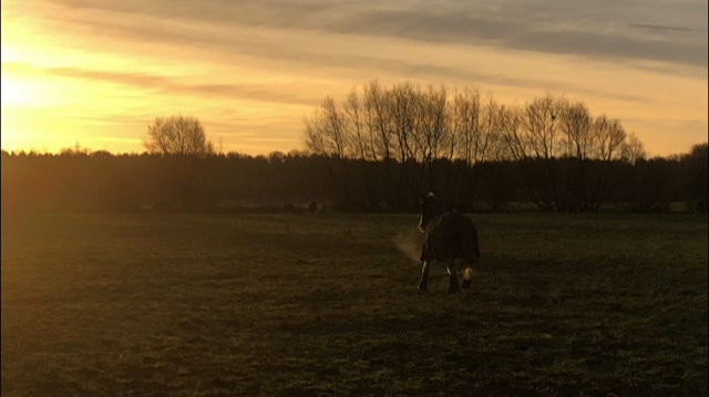 chronicprogressivelymphoedema.com