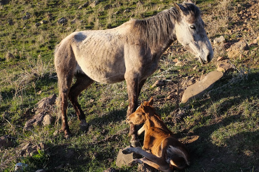 3fOhzrVmII03m7dRZBUxNjdGejYlI16FLo_l32zblCQ=w827-h549-no