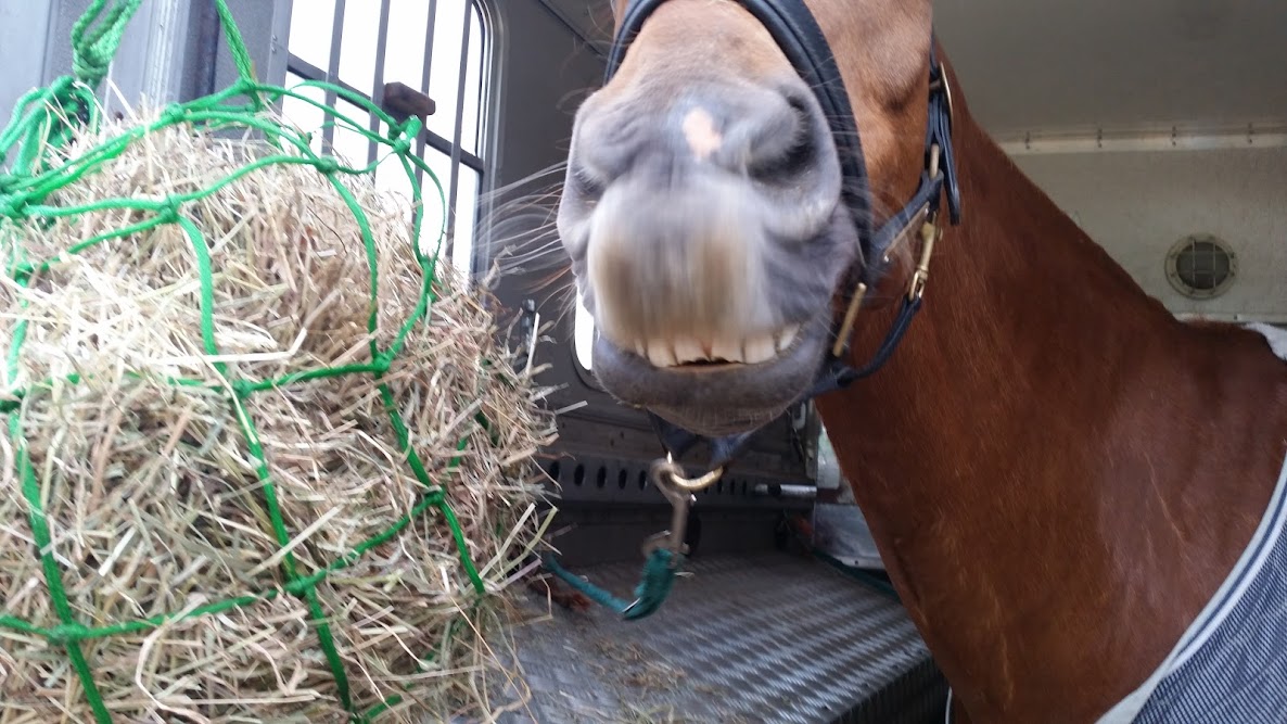 5lbPC0Ua0qjaxUPQTMp9jAFW-LIGYKRu1y_SFpgBf7Pv=w1186-h667-no