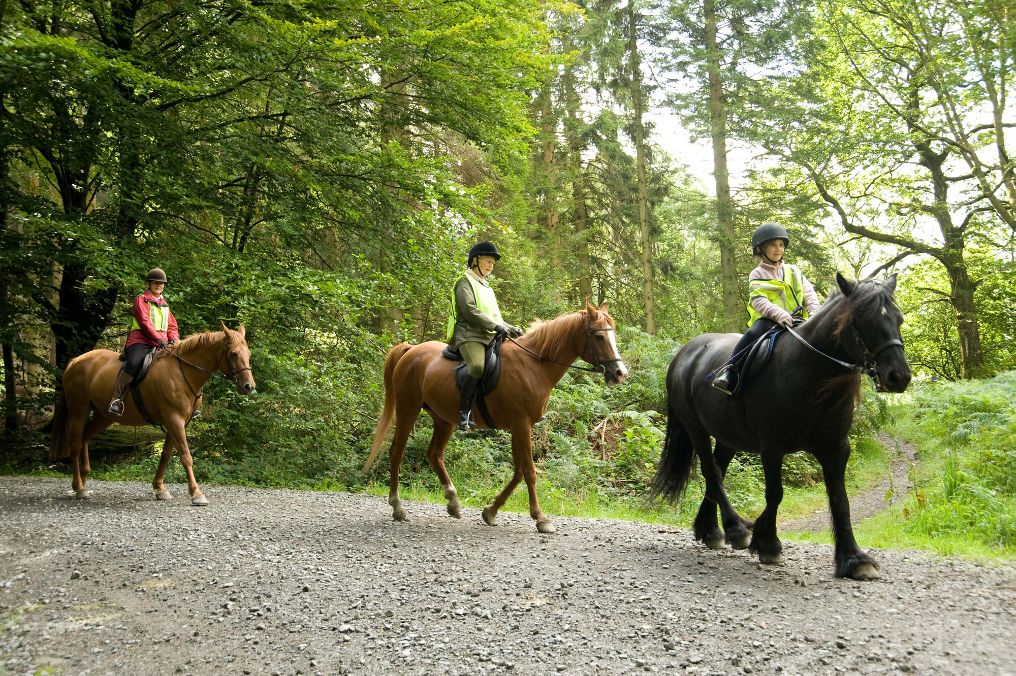 www.forestryengland.uk